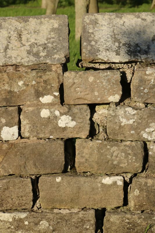 Stone Wall Repair in Amelia County, VA